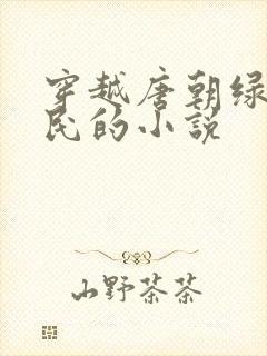 穿越唐朝绿李世民的小说