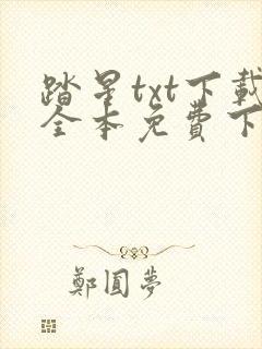 踏星txt下载全本免费下载