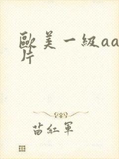 欧美一级aa特片