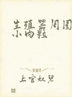 生殖器周围长出小肉粒