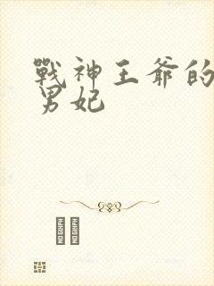 战神王爷的穿越男妃