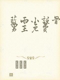 蓝雨小说骨科双男主免费