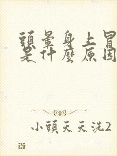 头晕身上冒虚汗是什么原因