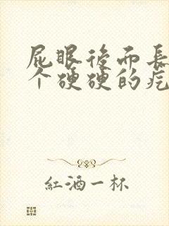 屁眼后面长了一个硬硬的疙瘩