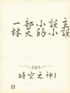 一部小说主角叫林天的小说