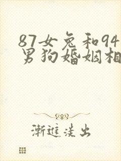 87女兔和94男狗婚姻相配吗