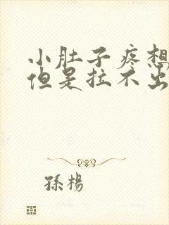 小肚子疼想拉屎但是拉不出来