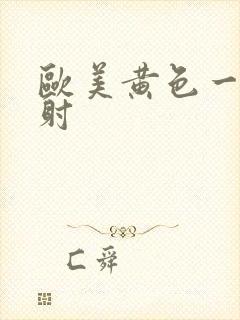 欧美黄色一级内射