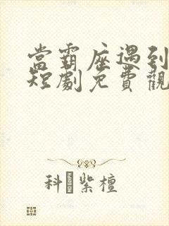 当霸座遇到豪门短剧免费观看全集封面