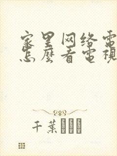 家里网络电视机怎么看电视台节目