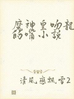 魔神皇吻龙皓晨的嘴小说封面