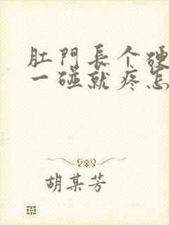 肛门长个硬疙瘩一碰就疼怎么回事