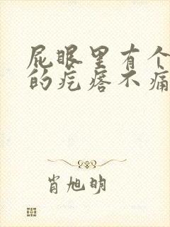 屁眼里有个硬硬的疙瘩不痛不痒