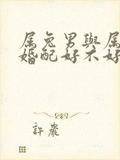 属兔男与属牛女婚配好不好