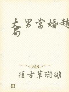 大男当婚赵凯结局封面