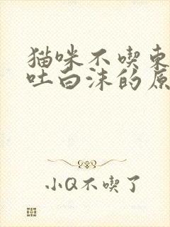 猫咪不吃东西口吐白沫的原因