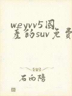 weyvv5国产的suv免费