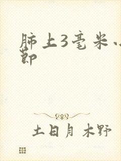 肺上3毫米小结节