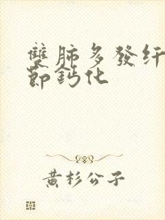 双肺多发纤维结节钙化