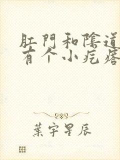 肛门和阴道中间有个小疙瘩封面