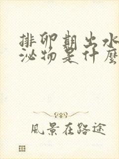 排卵期出水样分泌物是什么原因