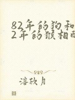 82年的狗和92年的猴相配婚姻如何