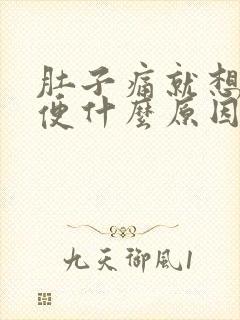 肚子痛就想拉大便什么原因封面