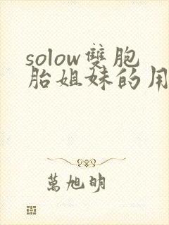 solow双胞胎姐妹的用心