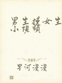 男生摸女生的胸小视频