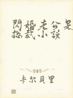 闪婚老公是千亿总裁小说