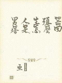 男人生殖器小疙瘩是怎么回事