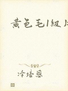 黄色毛1级片