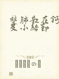 双肺散在钙化灶及小结节