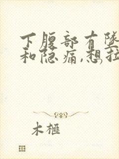 下腹部有坠胀感和隐痛,想拉大便又拉不出来