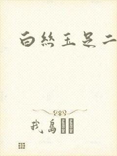 白丝玉足二次元