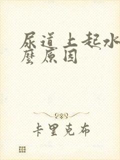 尿道上起水泡什么原因