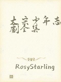 大宋少年志电视剧全集