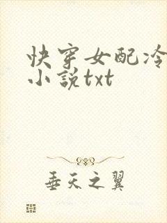 快穿女配冷静点小说txt