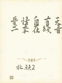 爱情自有天意第二季在线看封面