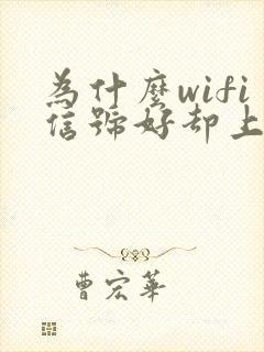 为什么wifi信号好却上不了网