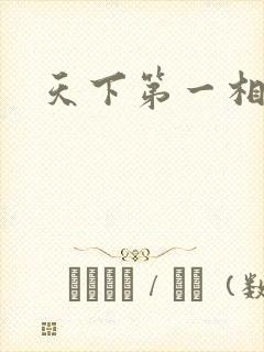 天下第一相书封面