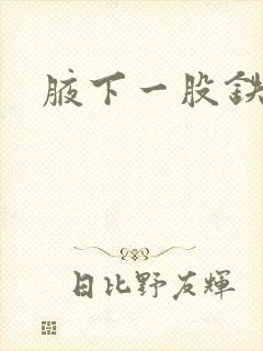 腋下一股铁锈味封面