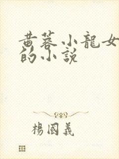 黄蓉小龙女题材的小说