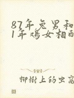 87年兔男和81年鸡女相配婚姻如何