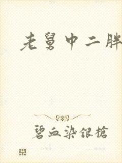 老舅中二胖结局封面