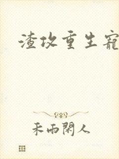 渣攻重生宠夫记