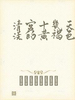 清宫十几天有淡淡的黄褐色分泌物封面