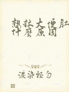 想拉大便肚子痛什么原因