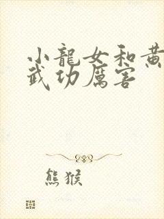 小龙女和黄蓉谁武功厉害