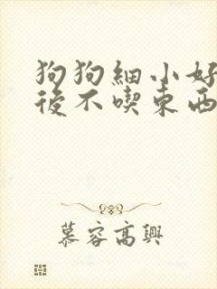 狗狗细小好了以后不吃东西怎么办